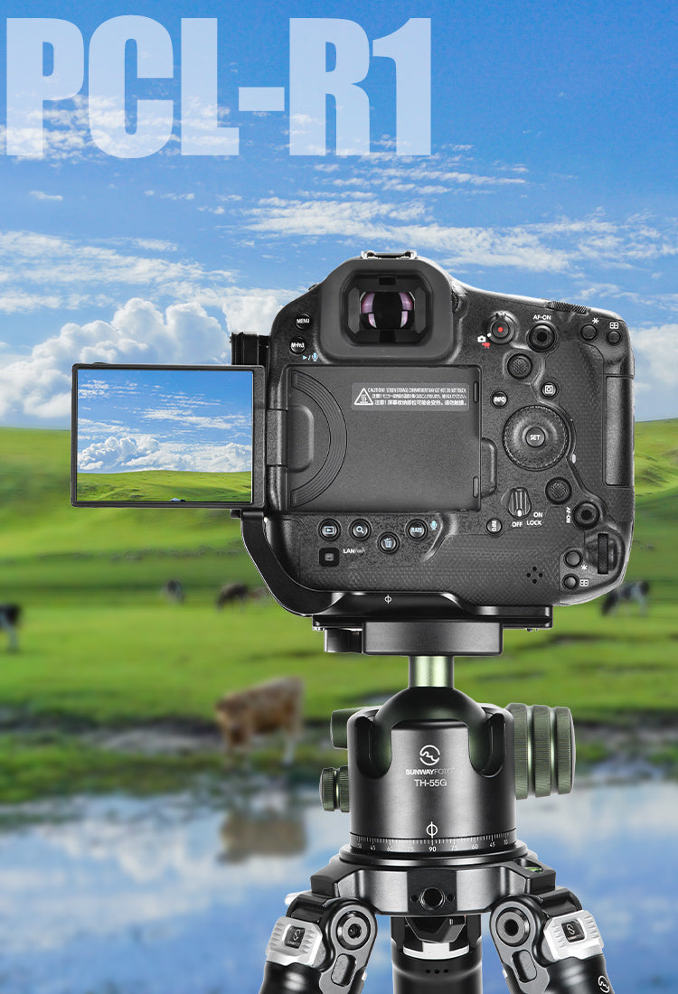 SUNWAYFOTO スライドプレート DMP-200R [正規日本代理店] 9n2op2j Amazon | SUNWAYFOTO スライドプレート DMP-200R [正規日本代理