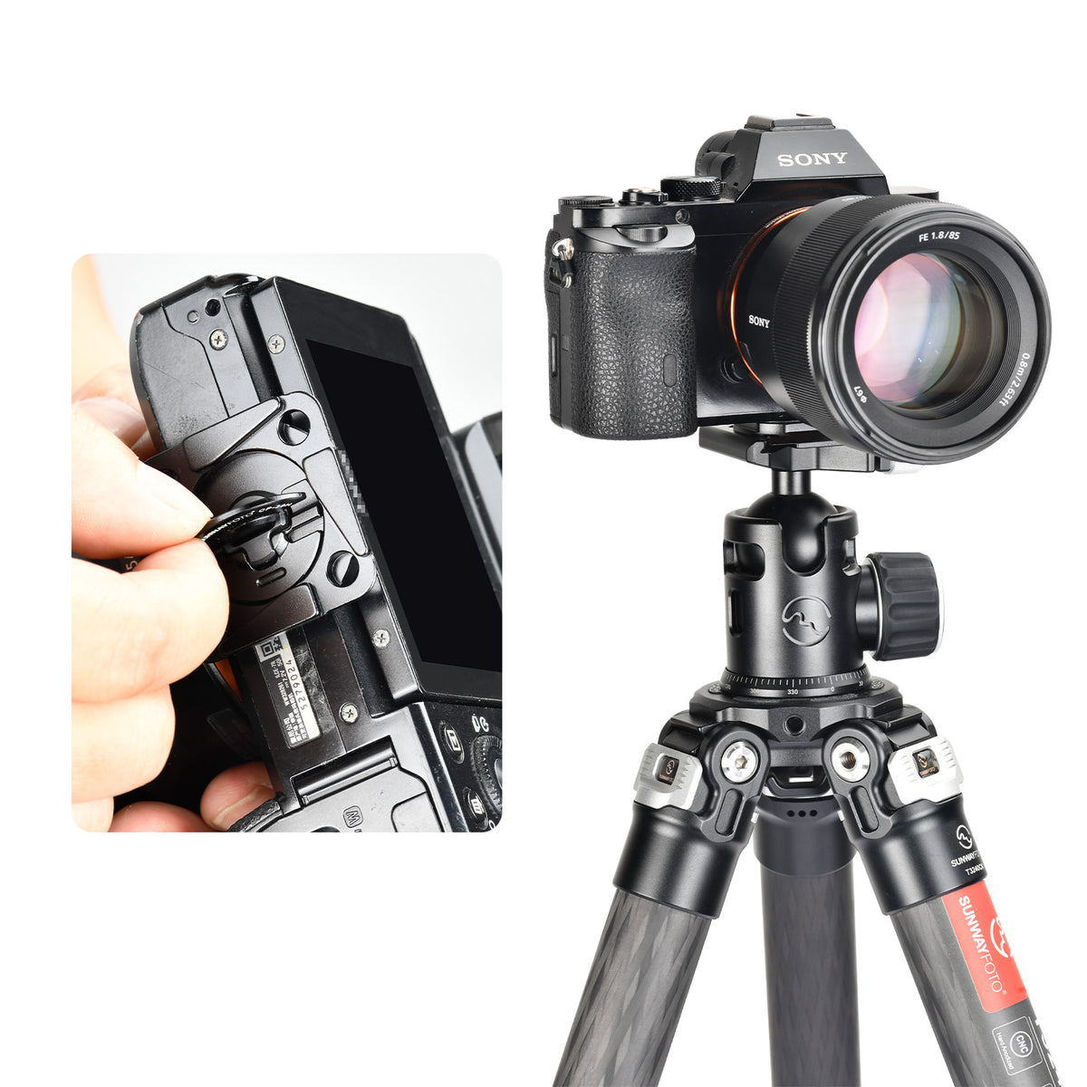 SUNWAYFOTO CP-39H Arca-Swiss Plate, Compatible with PD V3 Camera Capture Clip, No Tools Required