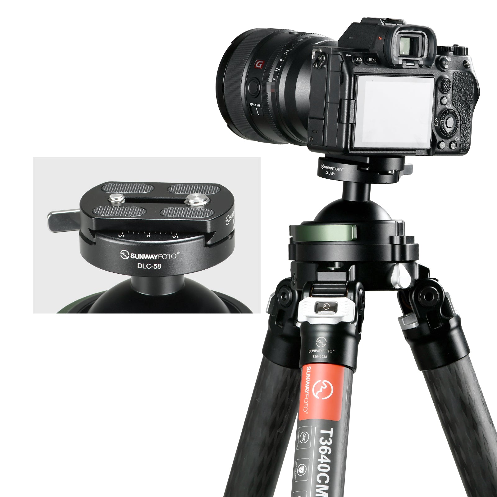SUNWAYFOTO  DP-58 58mm Universal Quick-Release Plate