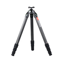 T3640CS-D Hunting Tripod for Shooting Rifle Stand Carbon Fiber,36mm,4 Sections,load 66lbs(30kgs),with Arca-Swiss Picatinny Adapter Clamp